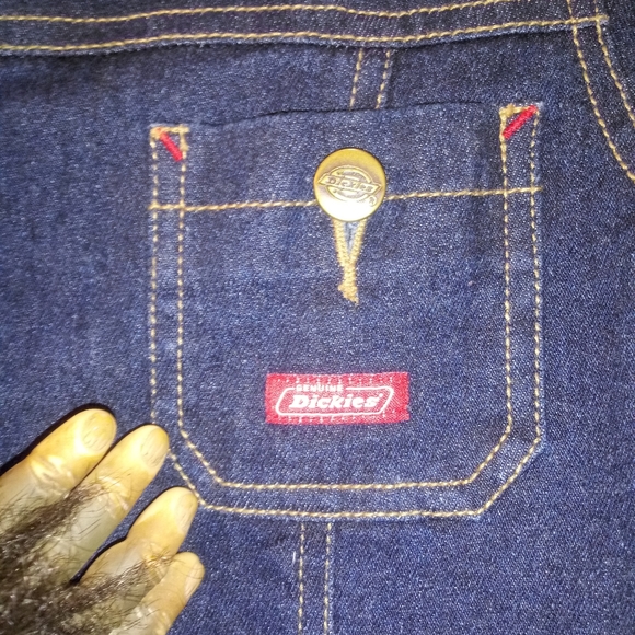 Dickies - Picture 4 of 7